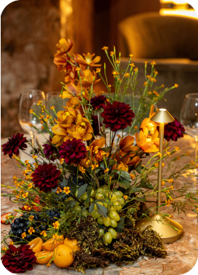 Imagem Eventos no Canto